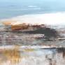 'Coastal Calm' Close Up
