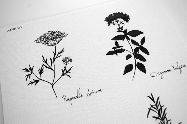 Original Figurative Botanic Drawing by Amaia Bloom