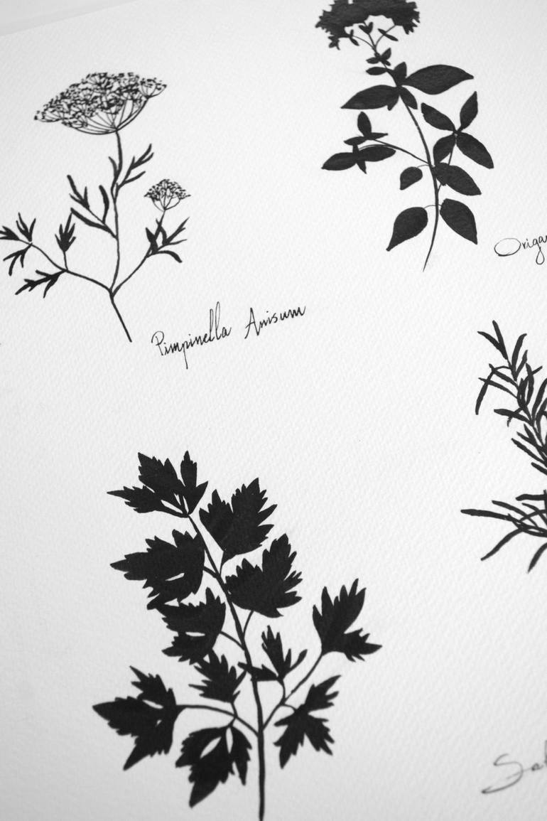 Original Figurative Botanic Drawing by Amaia Bloom