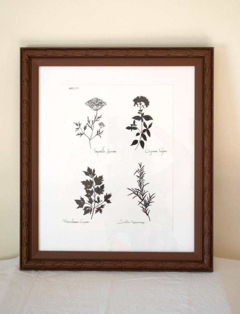 Original Figurative Botanic Drawing by Amaia Bloom