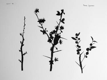 Botanical Shadows nº 1 - Black ink botanic illustration thumb
