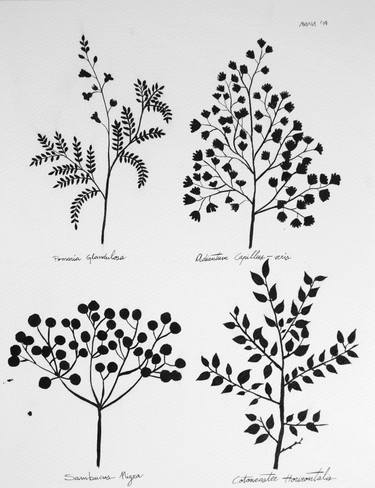 Botanical Shadows nº3 - Black ink illustration thumb