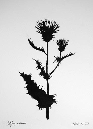 Botanical Shadows nº7 - Floral art thumb