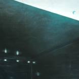 still IV by maya vejai