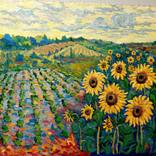 Sunflower Field by Pavlo Kiriakov