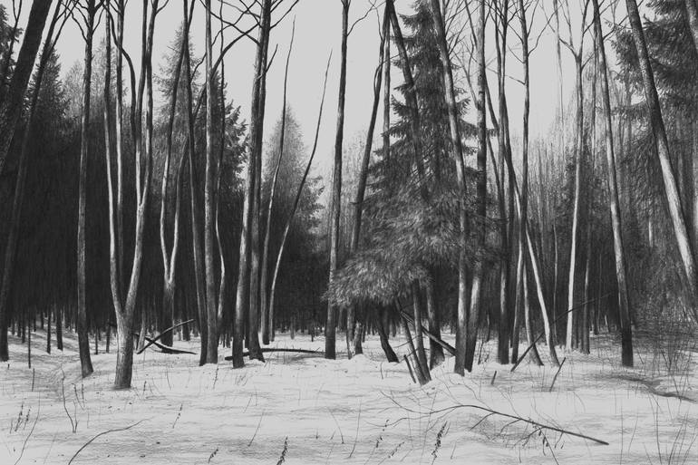 At The Edge Of The Forest Drawing By Vladimir Tsukhlo Saatchi Art