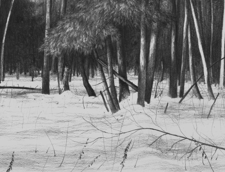 Original Realism Landscape Drawing by Vladimir Tsukhlo