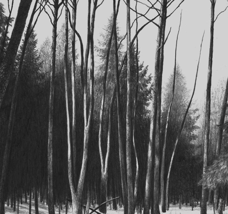 Original Realism Landscape Drawing by Vladimir Tsukhlo