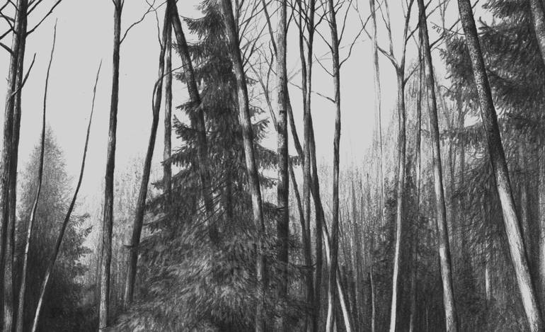 Original Realism Landscape Drawing by Vladimir Tsukhlo