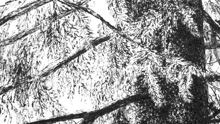 Original Realism Landscape Drawing by Vladimir Tsukhlo