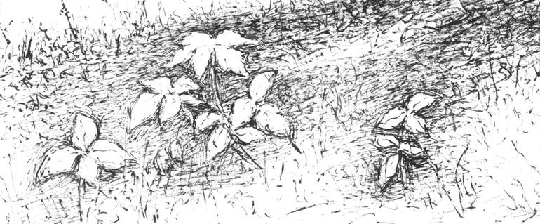 Original Realism Landscape Drawing by Vladimir Tsukhlo