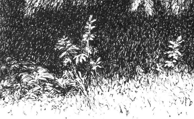 Original Realism Landscape Drawing by Vladimir Tsukhlo