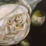 Fine art original oil painting by artist, Maureen De Silva, entitled, White Peonies.