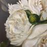 Fine art original oil painting by artist, Maureen De Silva, entitled, White Peonies.