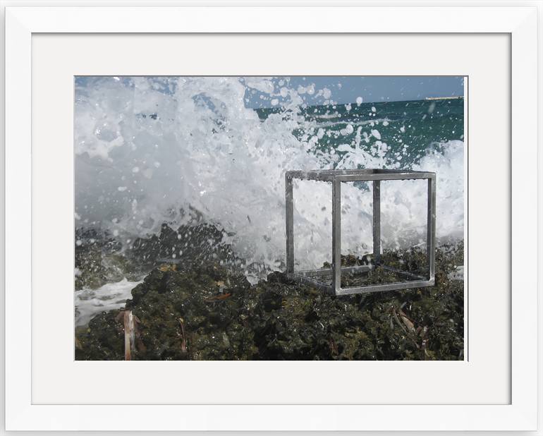 Original Abstract Nature Photography by Amy Jackson