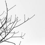 white sky by Monica Palermo