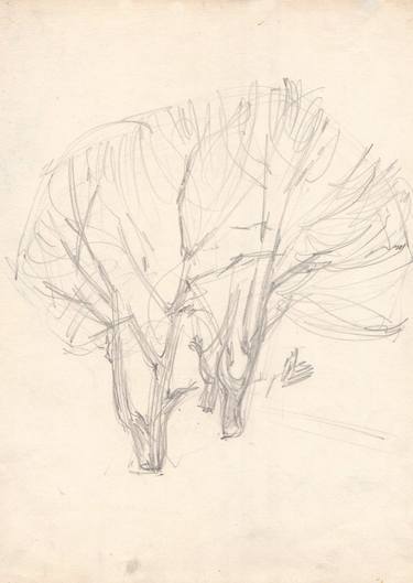 Print of Illustration Tree Drawings by Victor Ursu