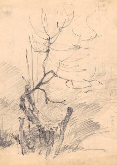 Print of Tree Drawings by Victor Ursu