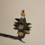 The fight of the black throated finch by Nicole Robertson Gilliland