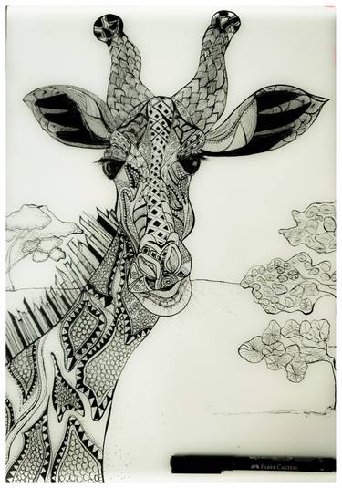 Original Fine Art Animal Drawings by Naturebella G