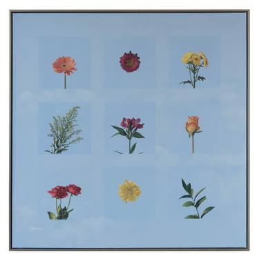 Original Floral Paintings by Suzanne Howe