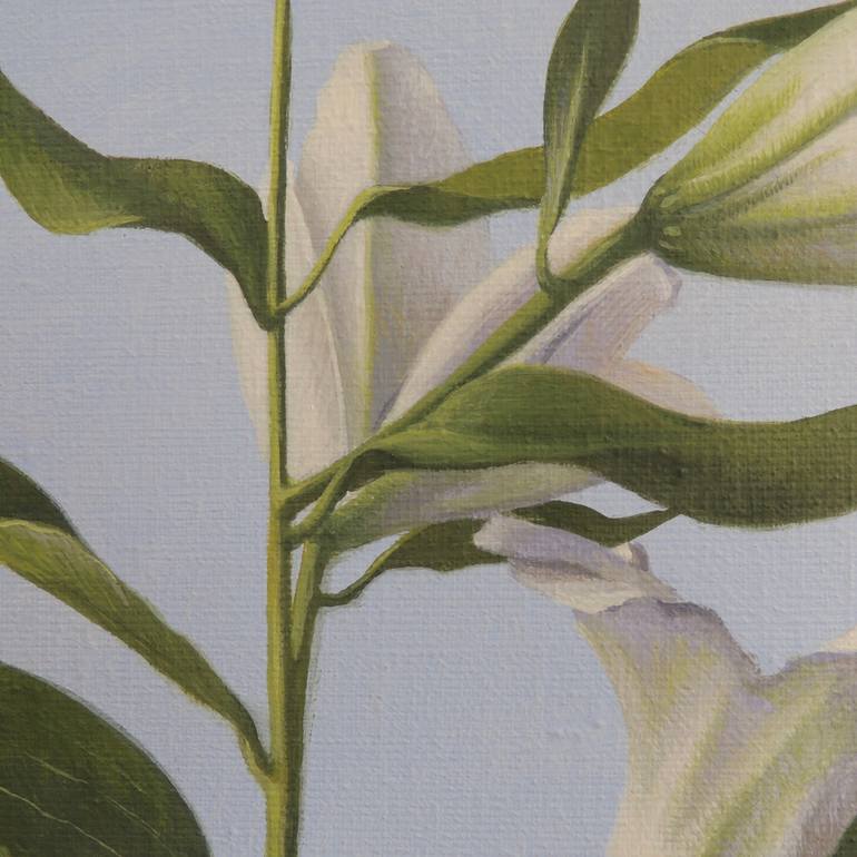 Original Floral Painting by Suzanne Howe