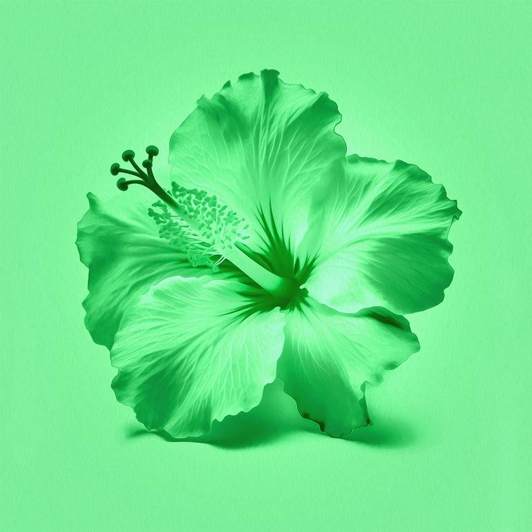 Original Conceptual Floral Digital by Scott Gieske