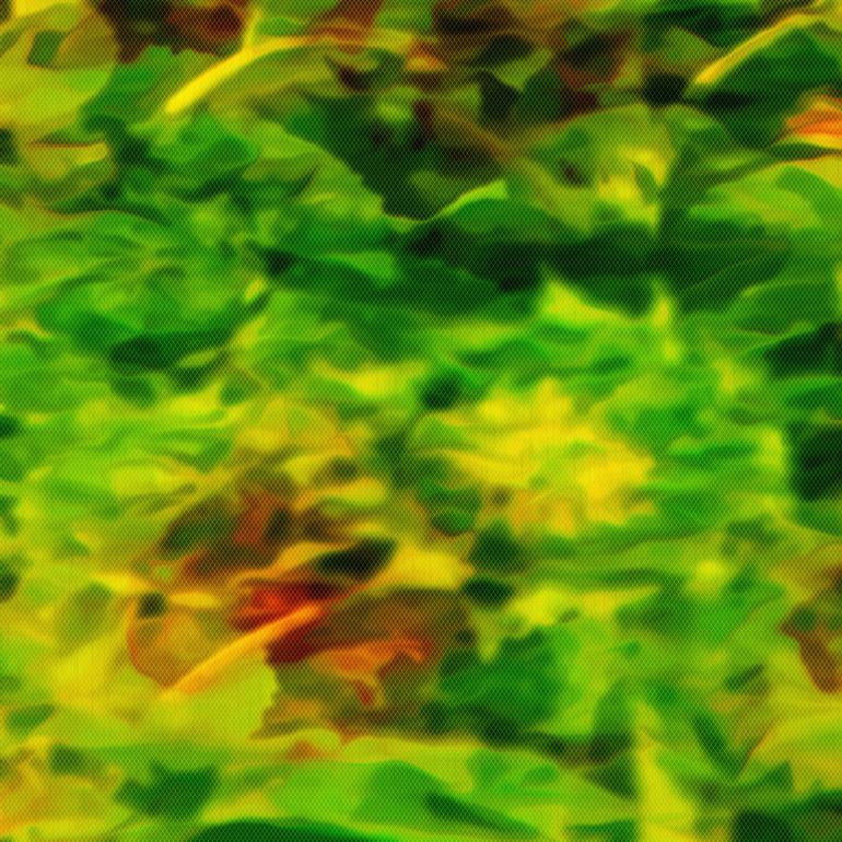 Original Conceptual Nature Digital by Scott Gieske
