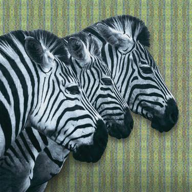 Print of Animal Digital by Scott Gieske