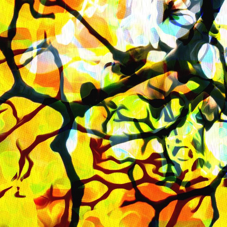 Original Abstract Expressionism Nature Digital by Scott Gieske