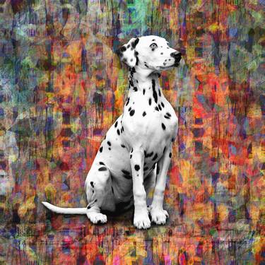 Print of Dogs Digital by Scott Gieske