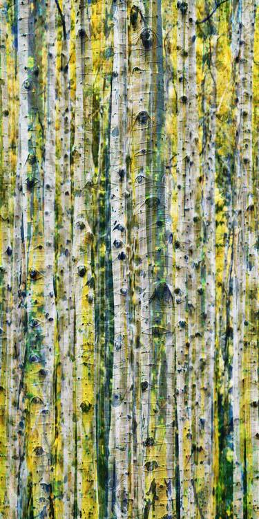 Original Abstract Expressionism Nature Digital by Scott Gieske