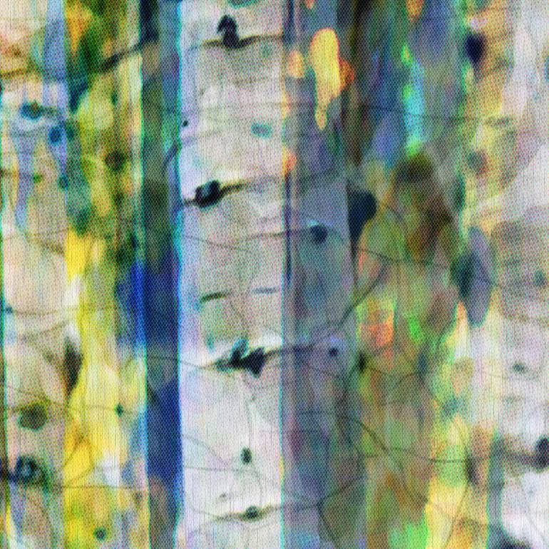 Original Abstract Expressionism Nature Digital by Scott Gieske