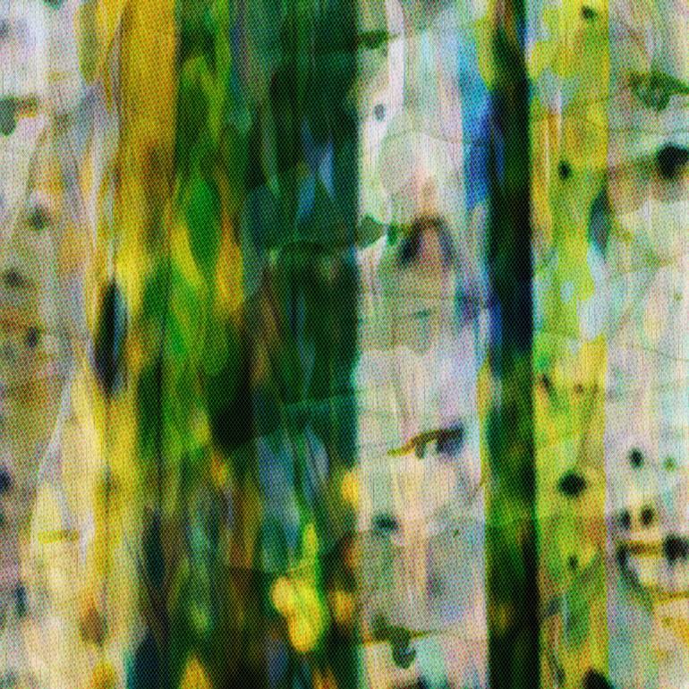 Original Abstract Expressionism Nature Digital by Scott Gieske