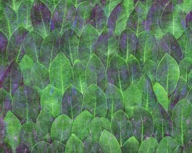 Print of Conceptual Botanic Digital by Scott Gieske