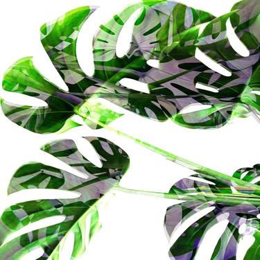 Original Abstract Expressionism Botanic Digital by Scott Gieske