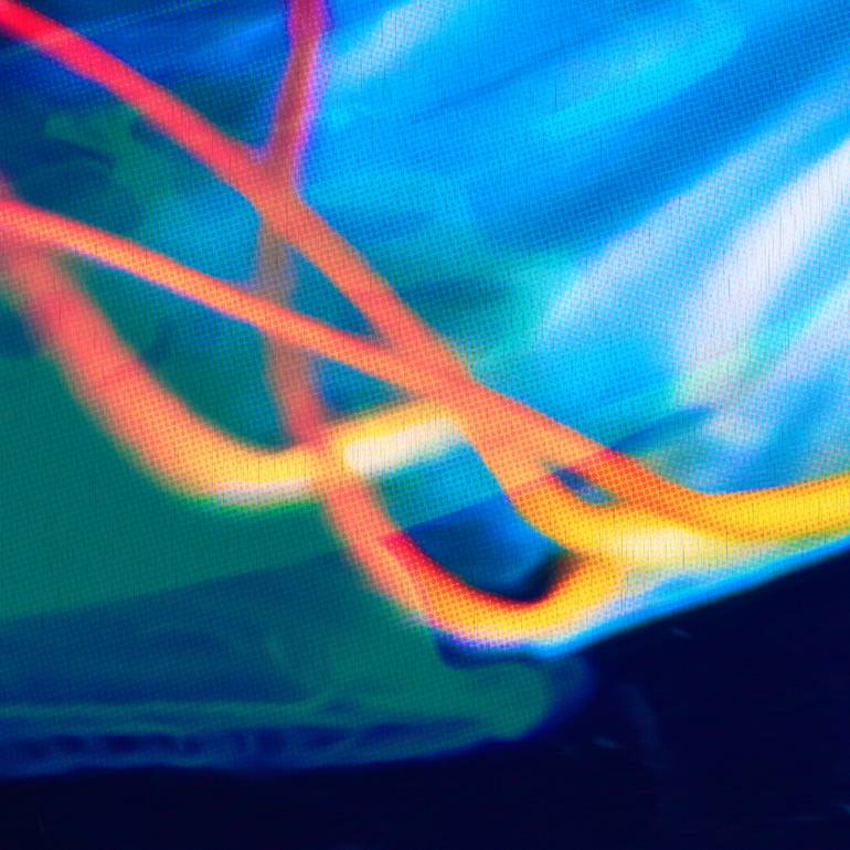 Original Conceptual Animal Digital by Scott Gieske