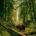 Solitary Passage by Scott Gieske