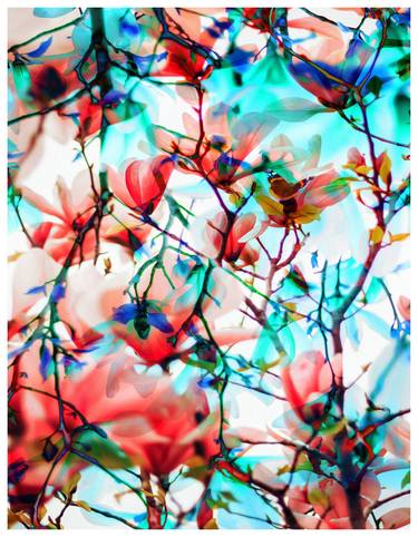 Print of Abstract Expressionism Nature Digital by Scott Gieske
