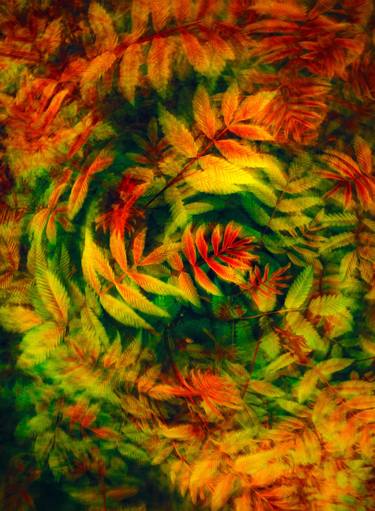 Original Abstract Expressionism Nature Digital by Scott Gieske