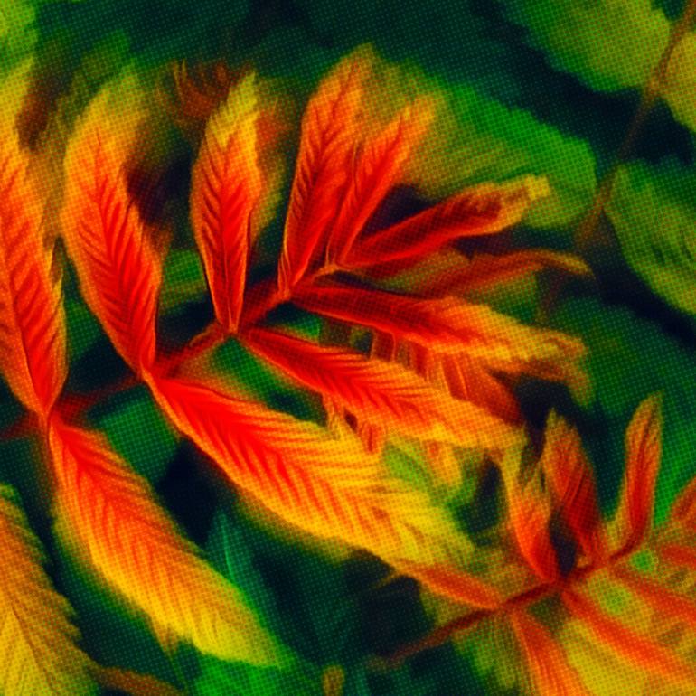 Original Abstract Expressionism Nature Digital by Scott Gieske