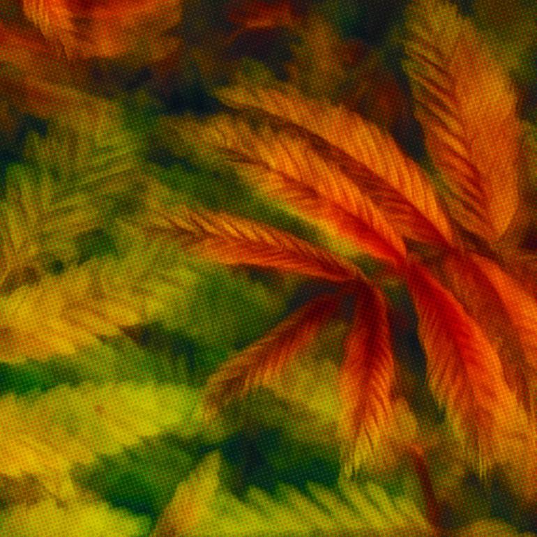 Original Abstract Expressionism Nature Digital by Scott Gieske