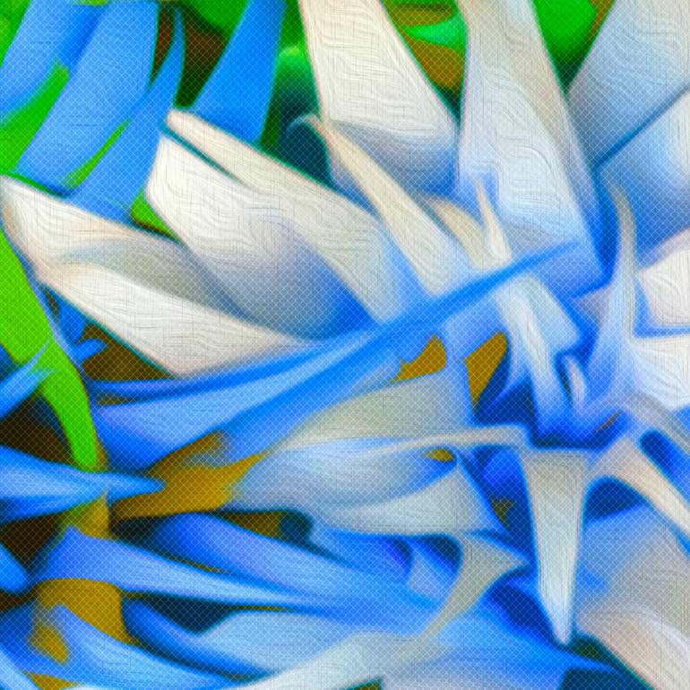 Original Floral Digital by Scott Gieske