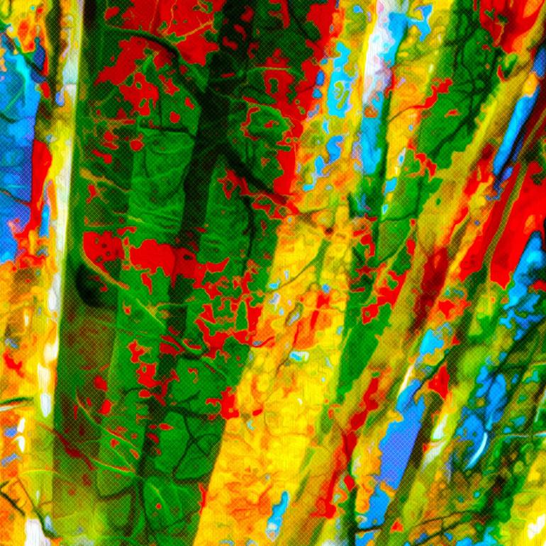 Original Abstract Expressionism Nature Digital by Scott Gieske