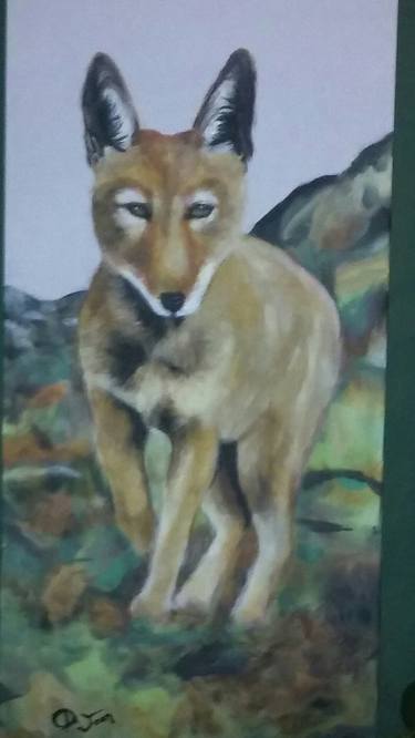 Print of Fine Art Animal Paintings by Donna Emmerich