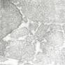 view additional image 1