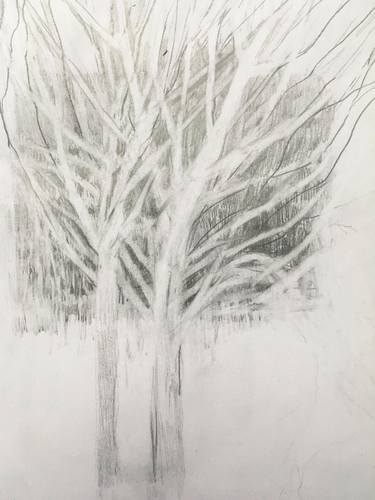Print of Tree Drawings by Laura Perry