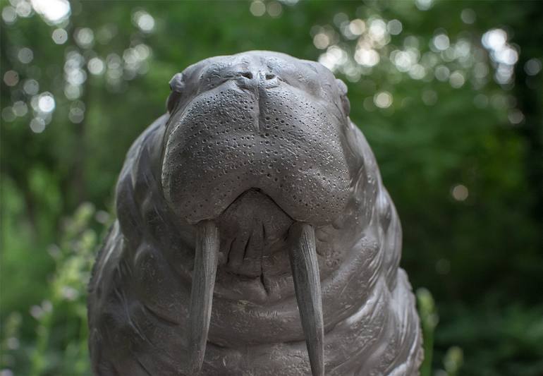 Original Animal Sculpture by Scott Ferguson