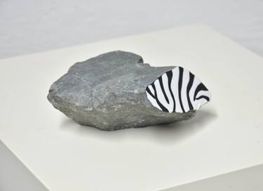 Fossilized zebra thumb