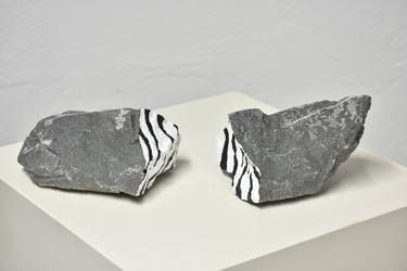 Fossilized zebra 2 thumb